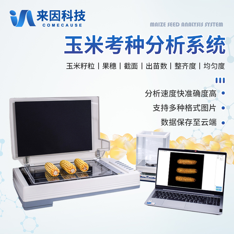 玉米考种分析系统