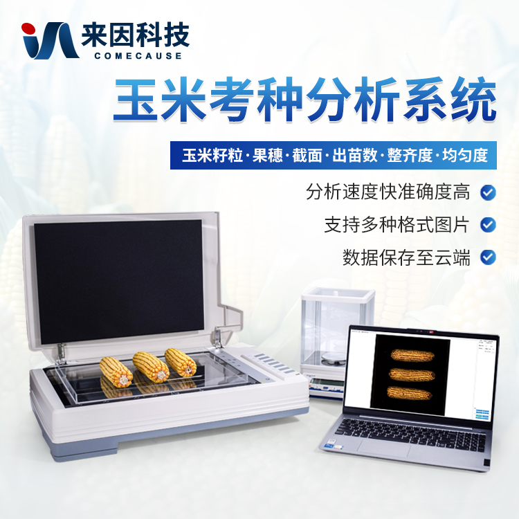 玉米考种分析系统