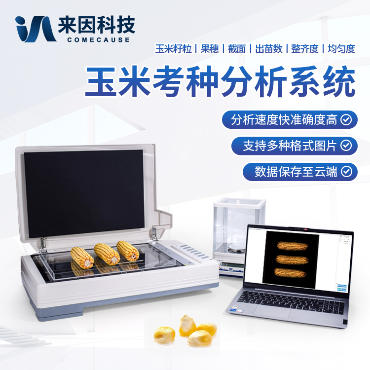 玉米考种分析系统