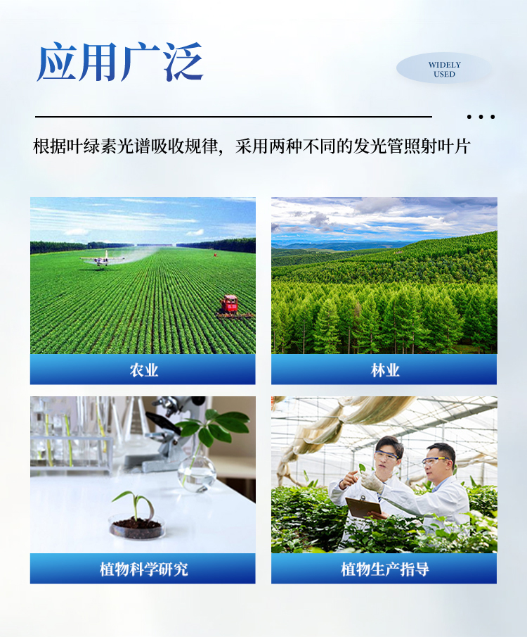 叶绿素仪 叶绿素仪